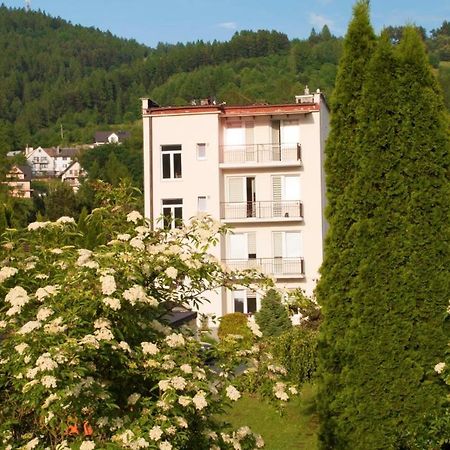 Hotel Osrodek Wczasowy Krasniczanka à Muszyna Extérieur photo